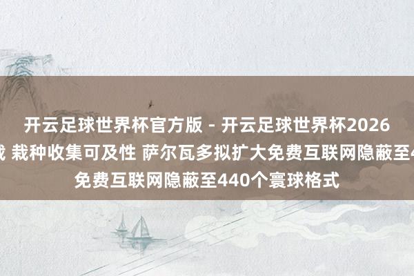 开云足球世界杯官方版 - 开云足球世界杯2026最新版app下载 栽种收集可及性 萨尔瓦多拟扩大免费互联网隐蔽至440个寰球格式