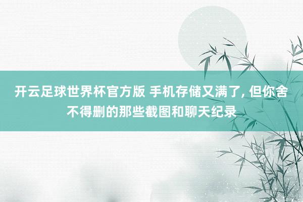 开云足球世界杯官方版 手机存储又满了, 但你舍不得删的那些截图和聊天纪录