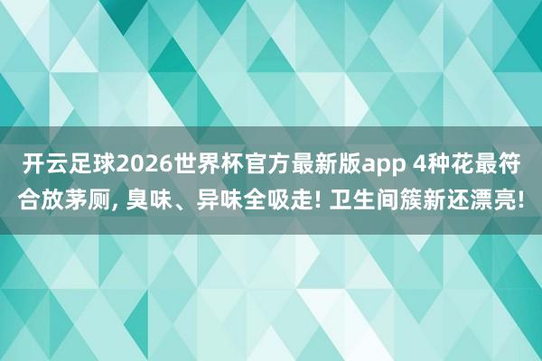 开云足球2026世界杯官方最新版app 4种花最符合放茅厕, 臭味、异味全吸走! 卫生间簇新还漂亮!