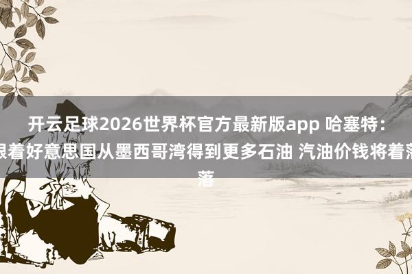 开云足球2026世界杯官方最新版app 哈塞特：跟着好意思国从墨西哥湾得到更多石油 汽油价钱将着落