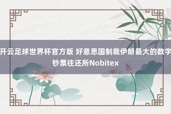 开云足球世界杯官方版 好意思国制裁伊朗最大的数字钞票往还所Nobitex