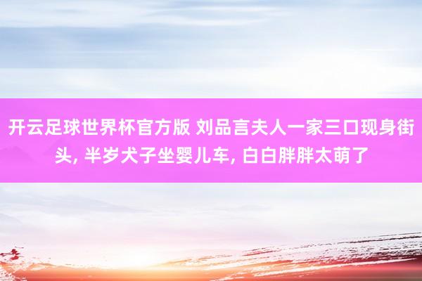 开云足球世界杯官方版 刘品言夫人一家三口现身街头， 半岁犬子坐婴儿车， 白白胖胖太萌了