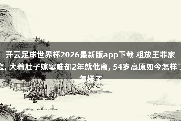 开云足球世界杯2026最新版app下载 粗放王菲家庭， 大着肚子嫁窦唯却2年就仳离， 54岁高原如今怎样了