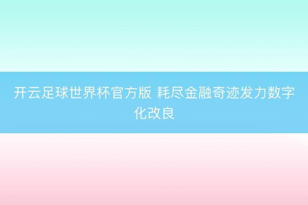 开云足球世界杯官方版 耗尽金融奇迹发力数字化改良