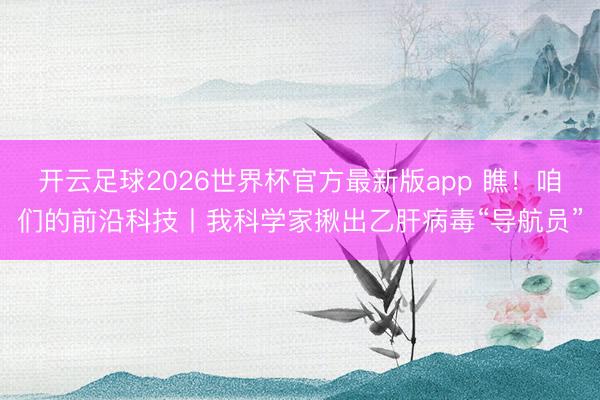 开云足球2026世界杯官方最新版app 瞧！咱们的前沿科技丨我科学家揪出乙肝病毒“导航员”